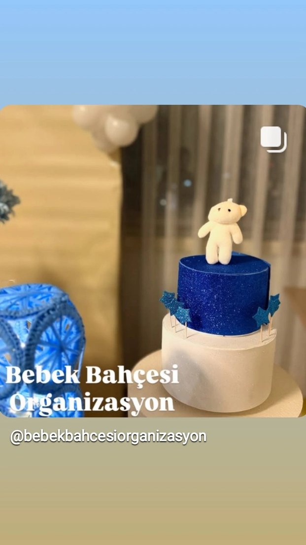 Mavi Bebek Partisi Süslemeleri - Görsel 2