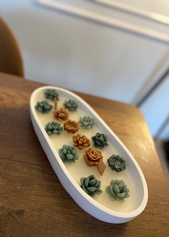 Beyaz Tepside Sukulent Şeklinde Mum Seti - Görsel 3
