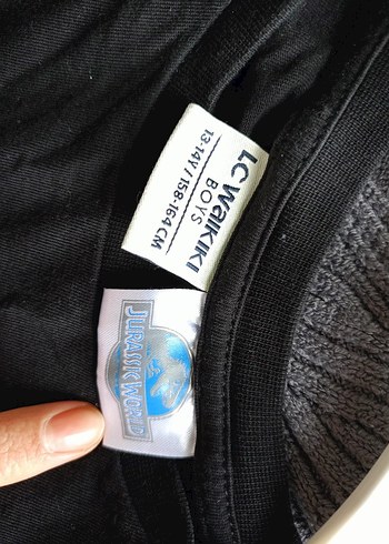 Jurassic World Siyah Erkek Sweatshirt - Görsel 3