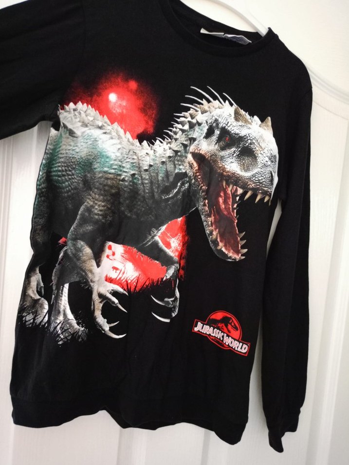 Jurassic World Siyah Erkek Sweatshirt - Görsel 2