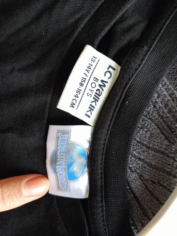 Jurassic World Siyah Erkek Sweatshirt - Görsel 3