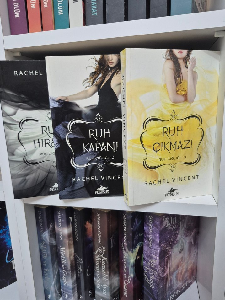 Rachel Vincent Ruh Serisi 3 Kitap - Görsel 2