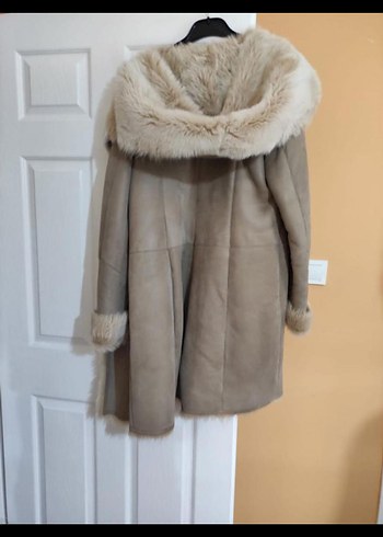 Kadın Kaban - Görsel 2