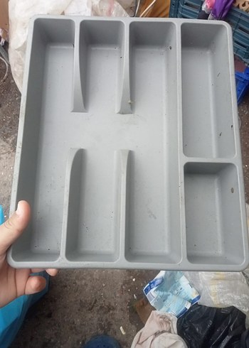 Gri kaşıklık . - Görsel 2