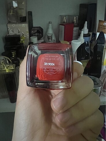 Giorgio Armani Giorgio Armani si passione
