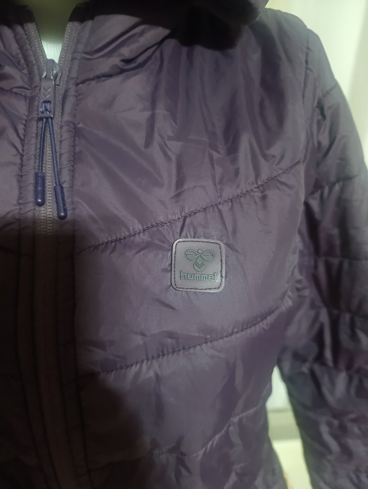 Mor Kapüşonlu Kadın Kışlık Mont - Görsel 2