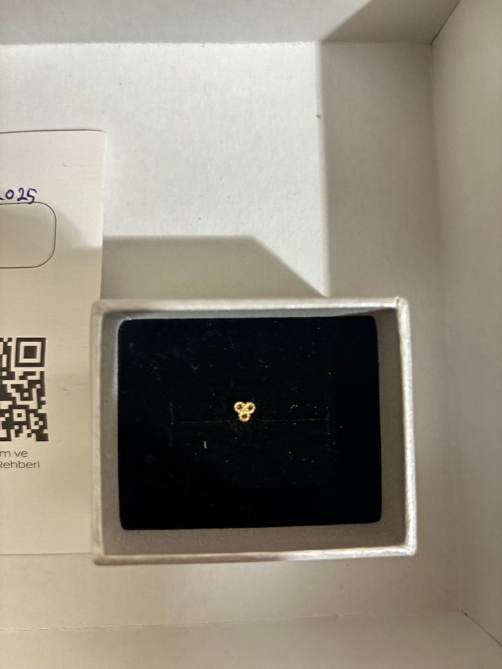 Altın Çift Taraflı Güneş Piercing - Görsel 4