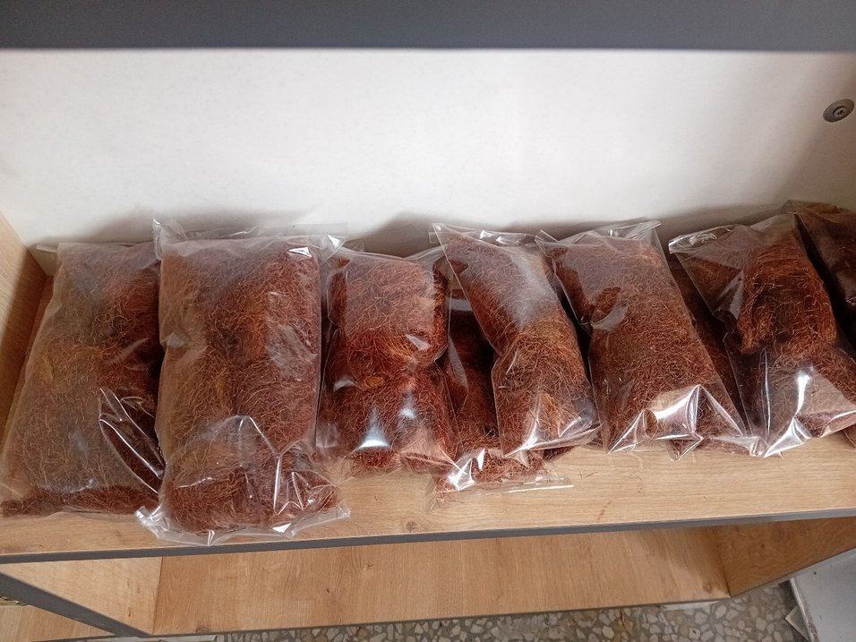 Mısır Püsküllü - Görsel 2