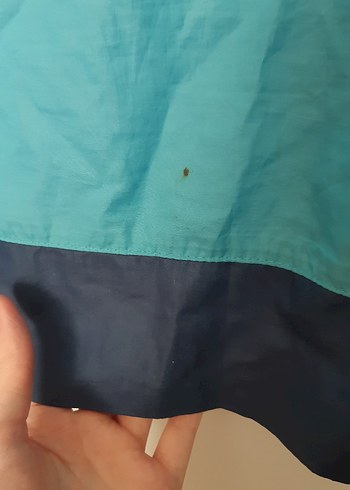 Mavi Haşema - Görsel 6