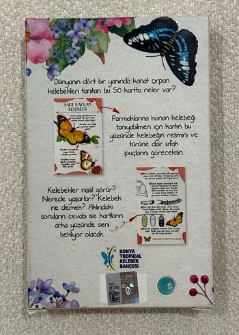 Dünyadan Tropikal Kelebek Bahçesi'ne Kelebek Kartları - Görsel 2