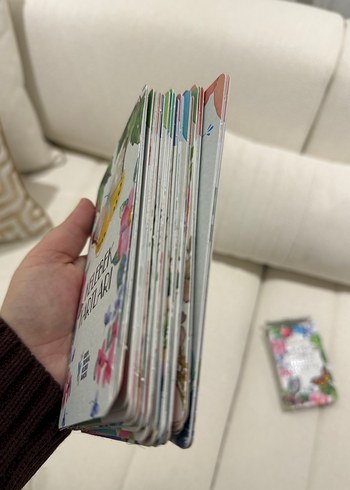 Dünyadan Tropikal Kelebek Bahçesi'ne Kelebek Kartları - Görsel 8