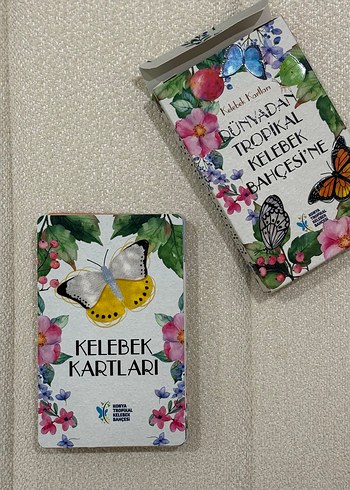 Dünyadan Tropikal Kelebek Bahçesi'ne Kelebek Kartları - Görsel 3