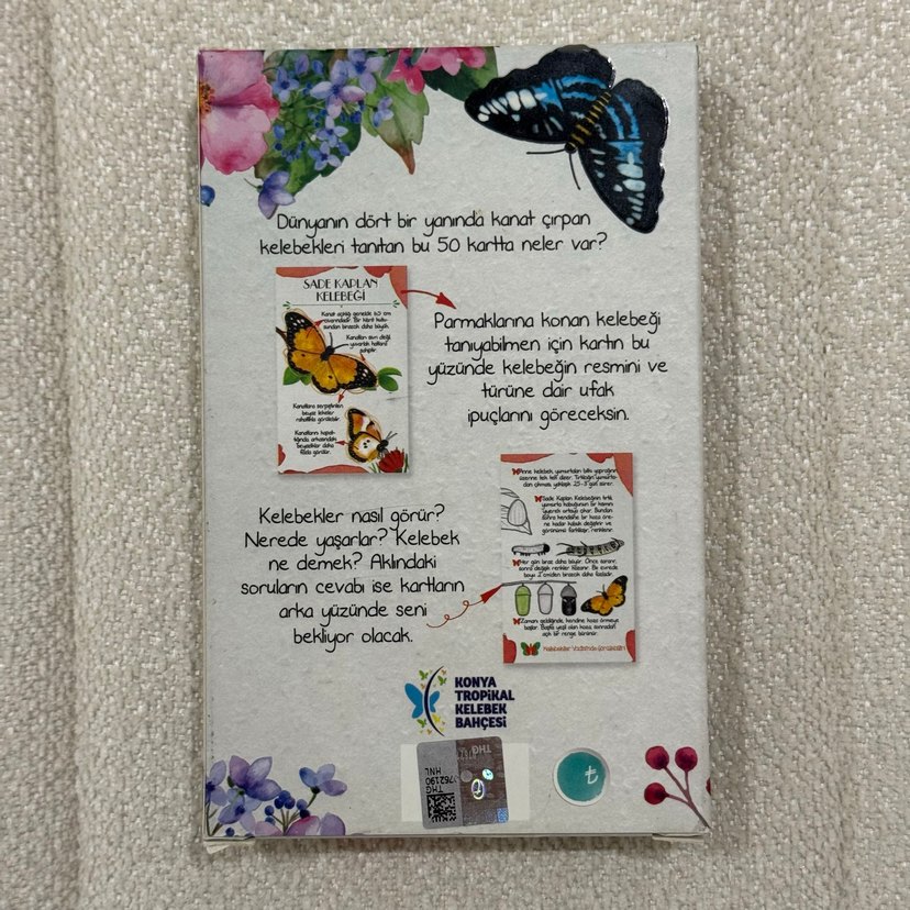 Dünyadan Tropikal Kelebek Bahçesi'ne Kelebek Kartları - Görsel 2