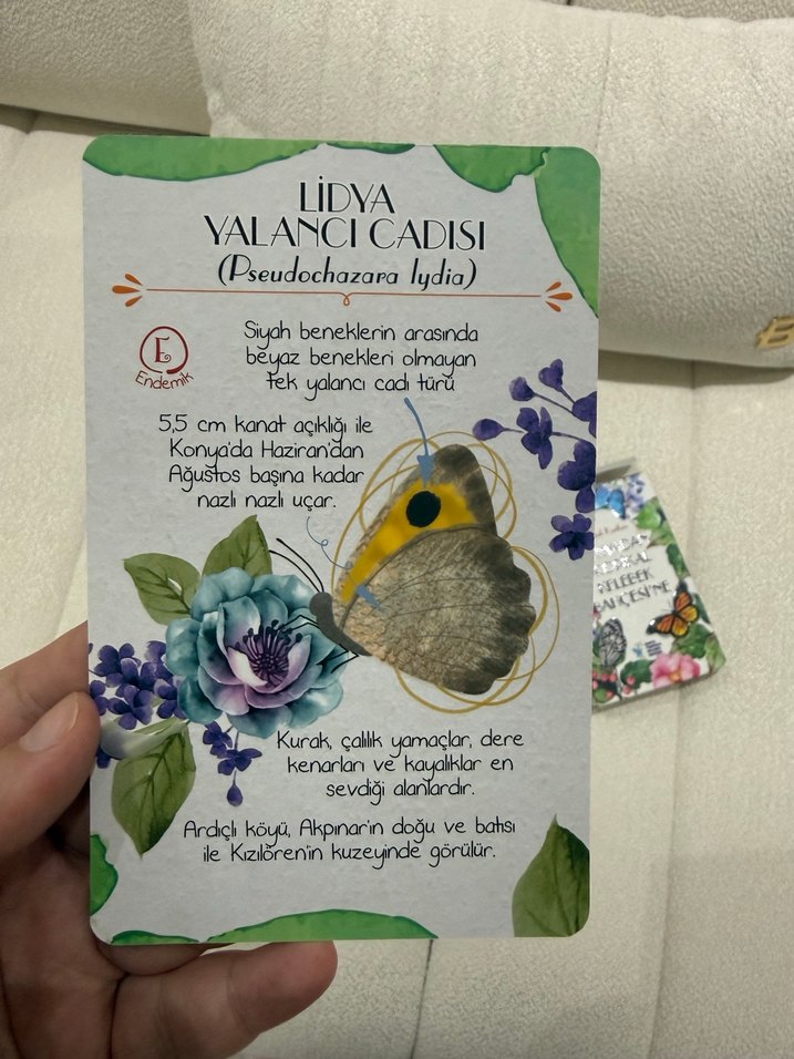 Dünyadan Tropikal Kelebek Bahçesi'ne Kelebek Kartları - Görsel 5