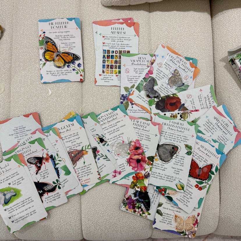Dünyadan Tropikal Kelebek Bahçesi'ne Kelebek Kartları - Görsel 4