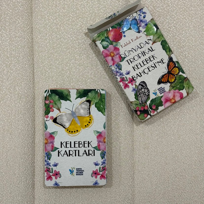 Dünyadan Tropikal Kelebek Bahçesi'ne Kelebek Kartları - Görsel 3