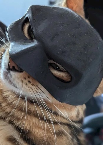 Batman Maske - Görsel 2