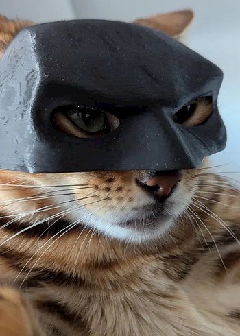 Batman Maske - Görsel 3