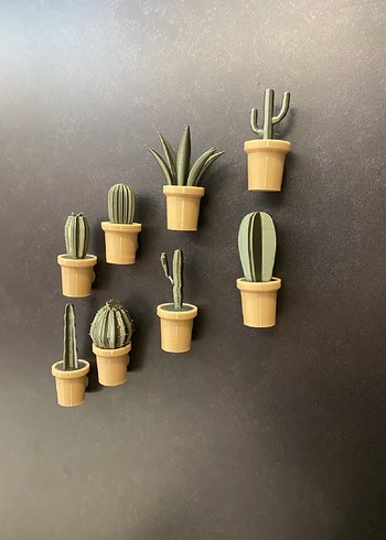 Magnetli Saksılar 8li Set - Görsel 2