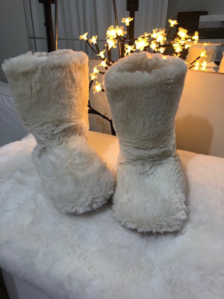 Beyaz- krem ev botu - Görsel 2