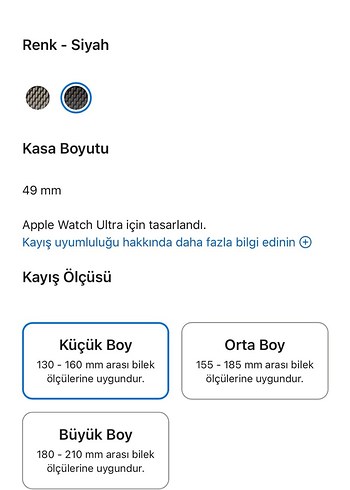 Apple Watch Akıllı Saat Kayışı titanyum - Görsel 6