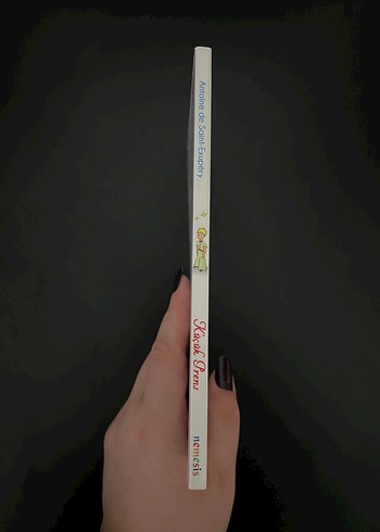 Küçük Prens Ciltsiz Kitap - Görsel 3