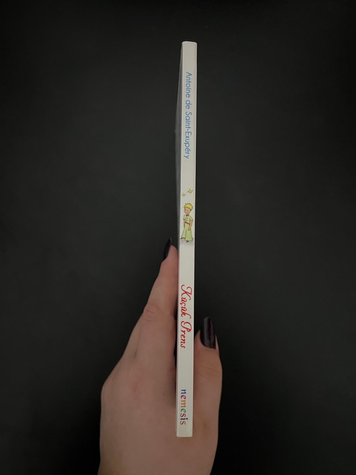 Küçük Prens Ciltsiz Kitap - Görsel 3