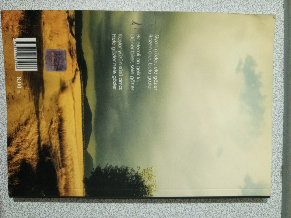 Gözlerde Yolculuk - Cevat Bayraktar imzalı - Görsel 2