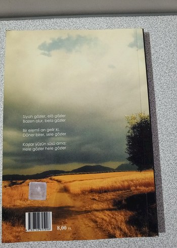 Gözlerde Yolculuk - Cevat Bayraktar - Görsel 2