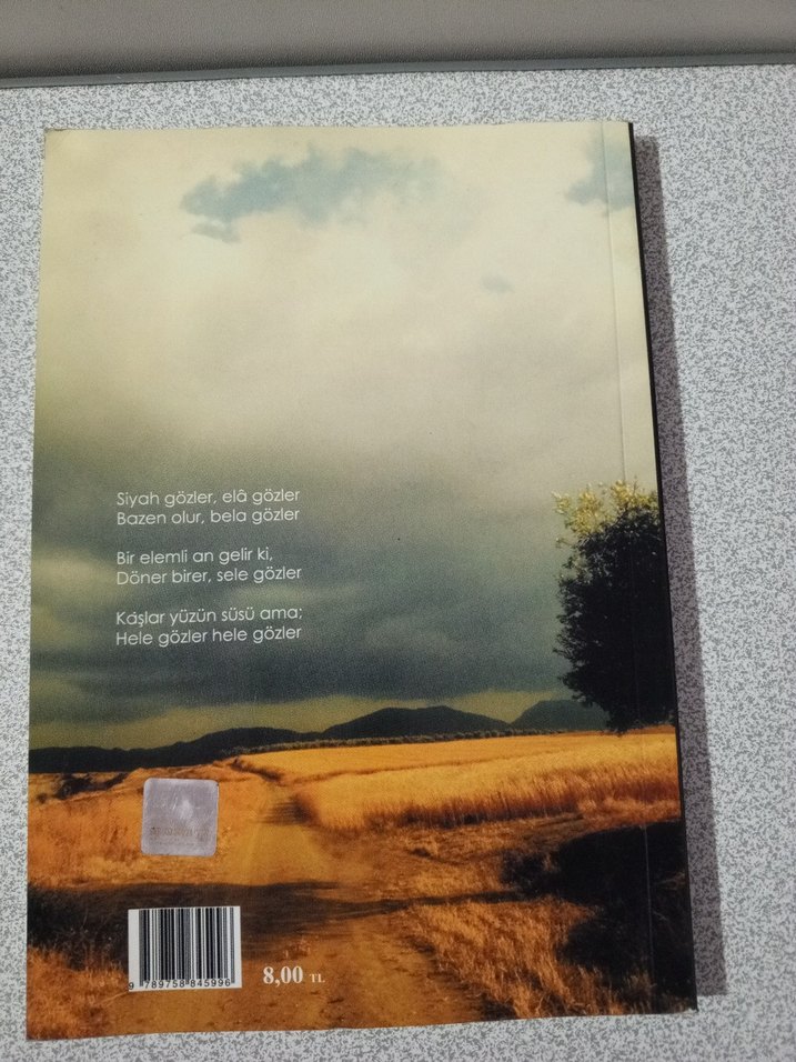 Gözlerde Yolculuk - Cevat Bayraktar - Görsel 2