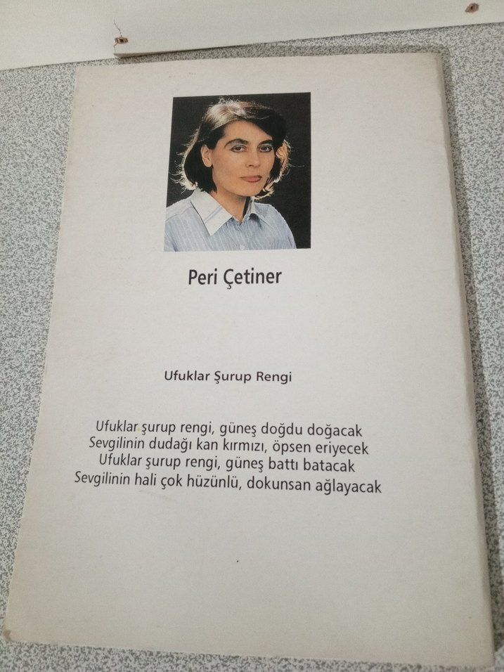 Ufuklar Şurup Rengi - Peri Çetiner - Görsel 2