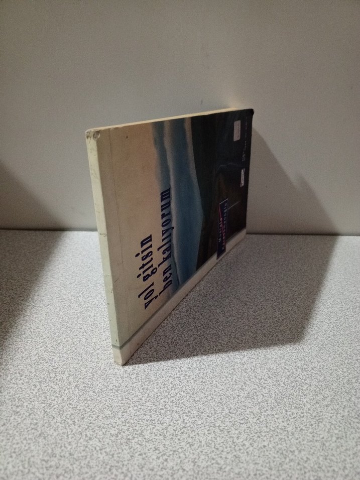 Yol Gitsin Ben Kalıyorum - Mustafa Karaosmanoğlu - Görsel 3