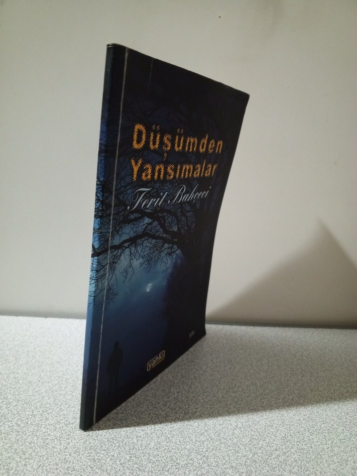 Düşümden Yansımalar - Ferit Bahçeci - Görsel 2