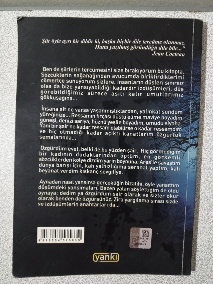 Düşümden Yansımalar - Ferit Bahçeci - Görsel 3