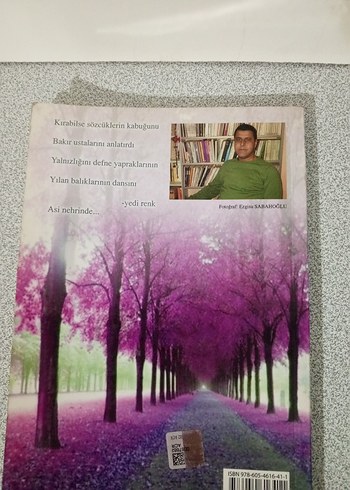 Erguvan Yalnızlık - Mesrur Sabahoglu - Görsel 2