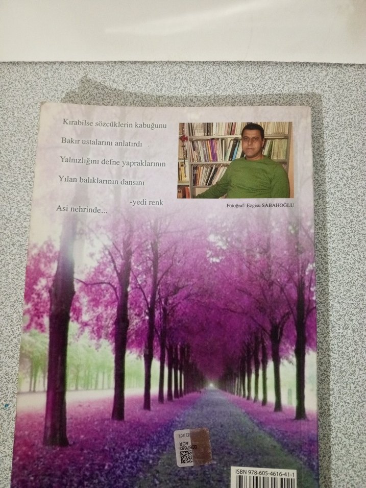 Erguvan Yalnızlık - Mesrur Sabahoglu - Görsel 2