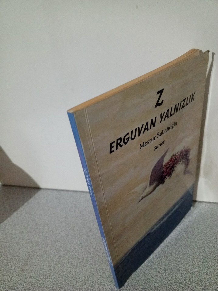 Erguvan Yalnızlık - Mesrur Sabahoglu - Görsel 3