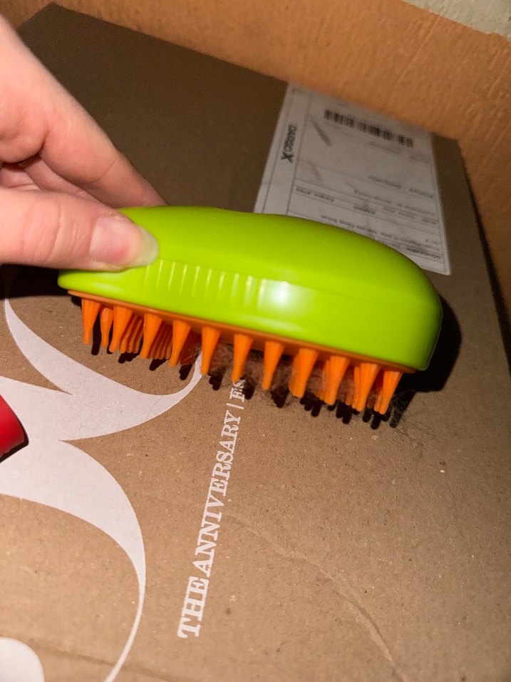 Buharlı Köpek tarağı - Görsel 3