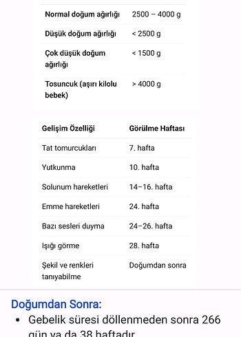 1. Sınıf Ebelik Notları - Görsel 3