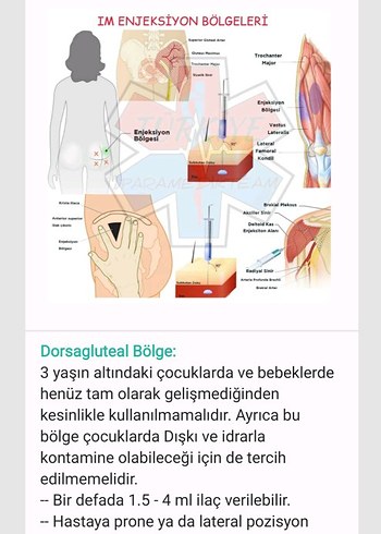1. Sınıf Ebelik Notları - Görsel 2