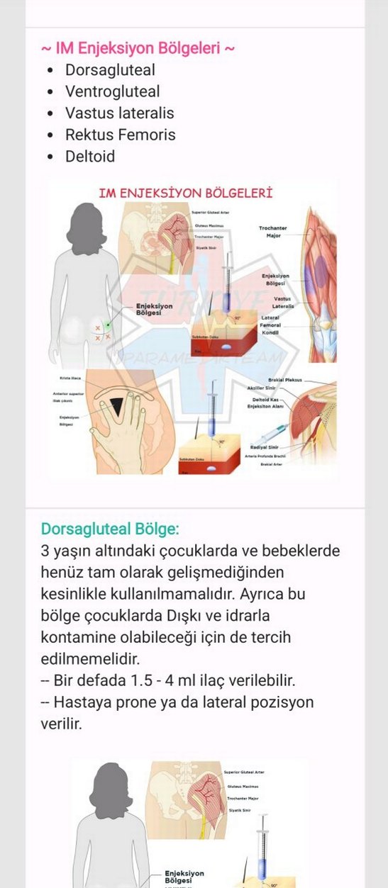 1. Sınıf Ebelik Notları - Görsel 2
