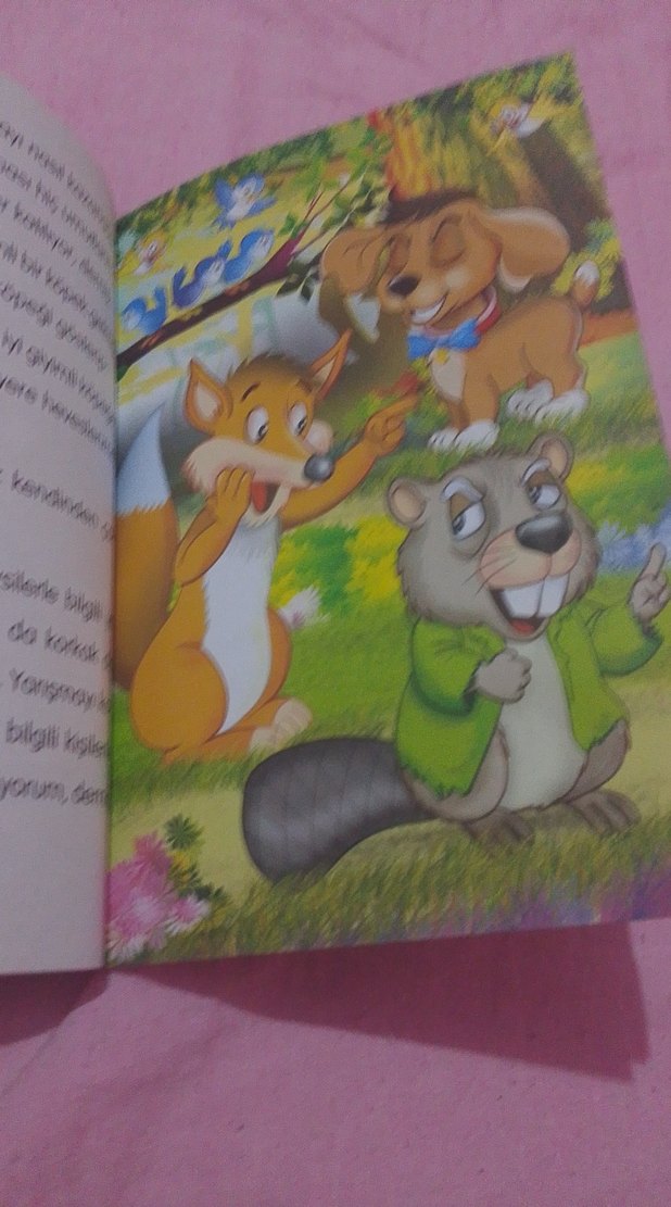 Çocuk Kitapları Seti: Bir Şeftali Bin Şeftali ve Diğerleri - Görsel 5