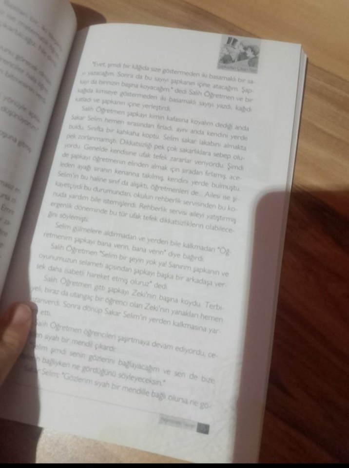 Peşimizdeki Sayılar - Bilim Serisi - Görsel 3