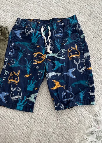 Erkek Çocuk Çok Renkli 2 Adet Desenli Şort - Görsel 3