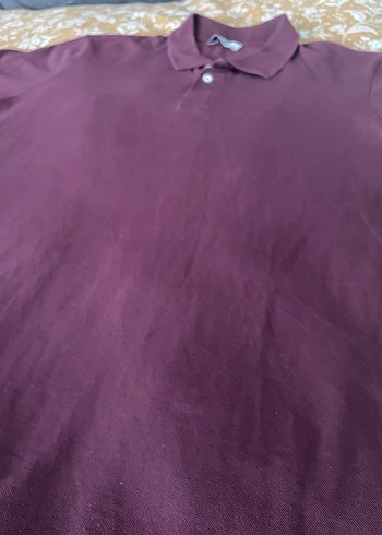 Erkek Mor Polo Yaka Tişört - Görsel 2