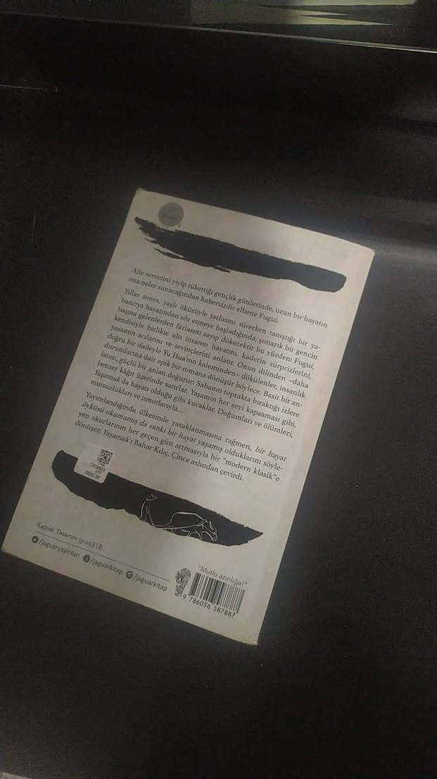 Yaşamak - Yu Hua - Görsel 3