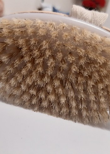 At Kılı Fırçası selülit fırçası - Görsel 4