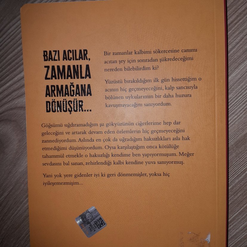 Anılarınla Barışırsan Özgürleşirsin - Ezgin Kılıç - Görsel 2