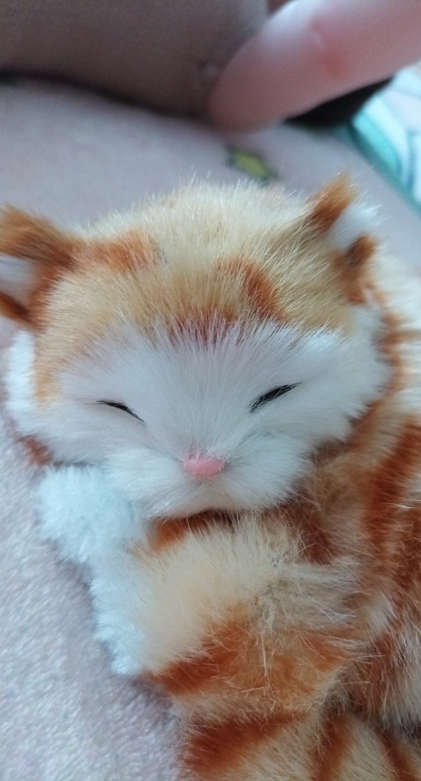 Pastel Kahverengi Kedi Peluş Oyuncak - Görsel 2