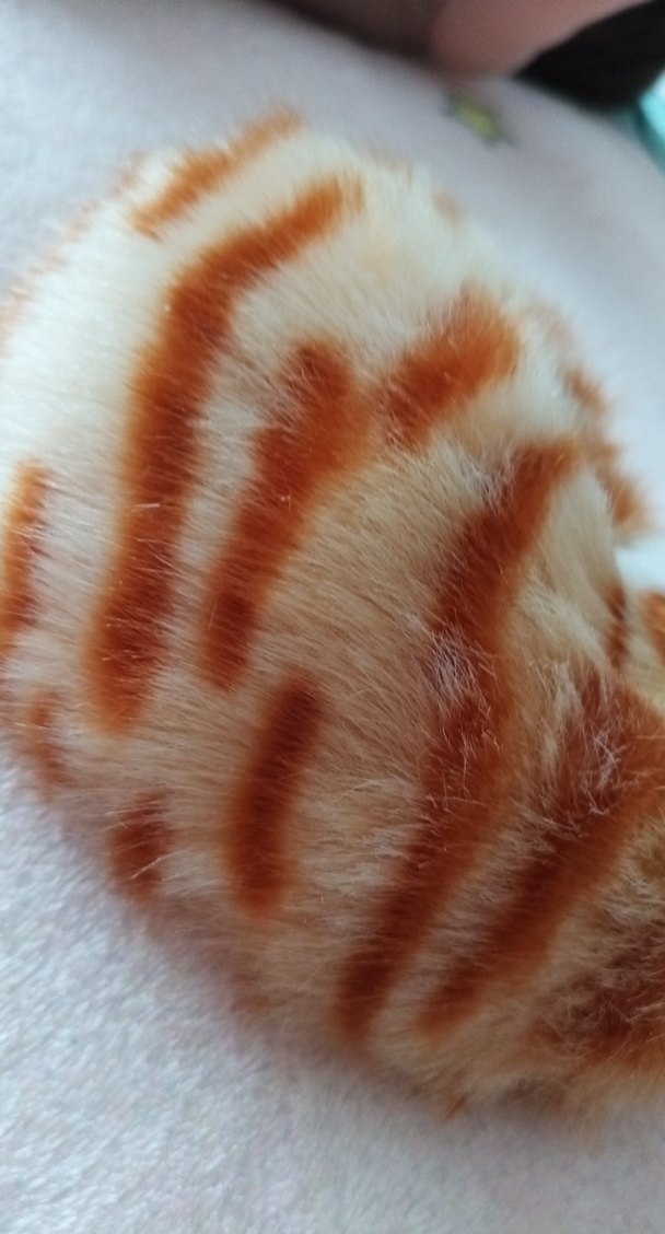 Pastel Kahverengi Kedi Peluş Oyuncak - Görsel 3